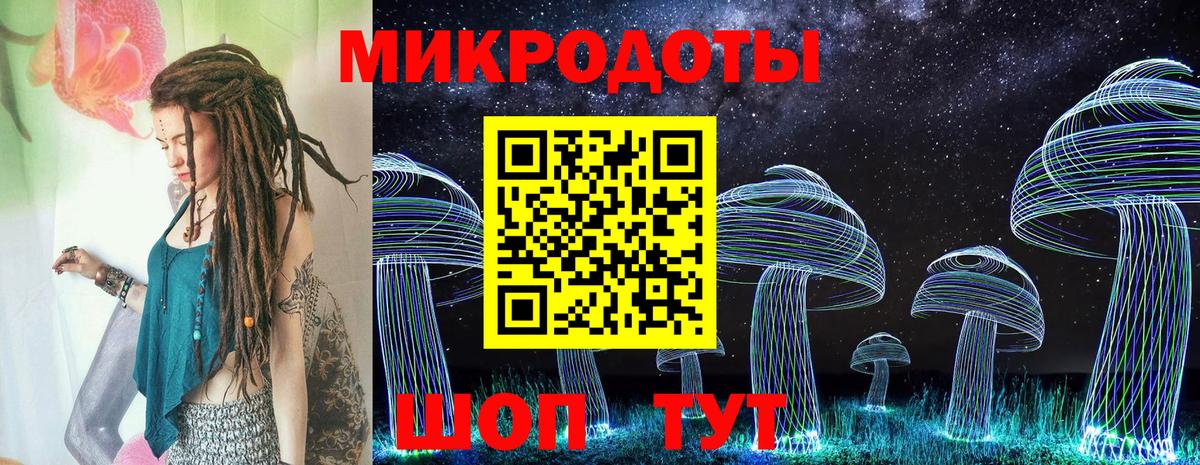 Галлюциногенные грибы Cubensis Мичуринск