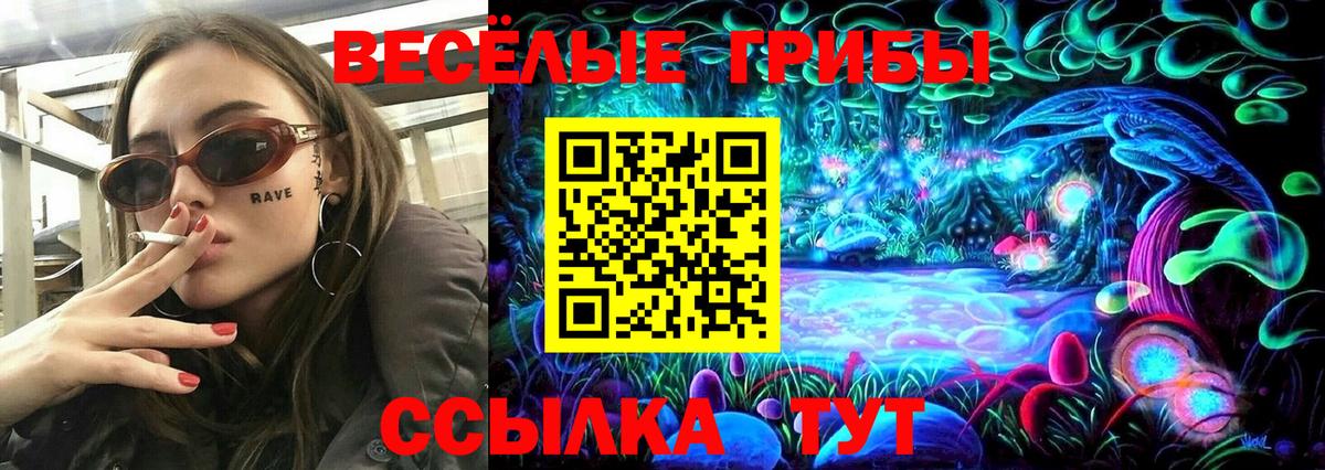 Мичуринск  Галлюциногенные грибы Cubensis  Вход с VPN 